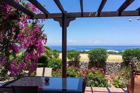 Joya Cyprus Maroon Garden *